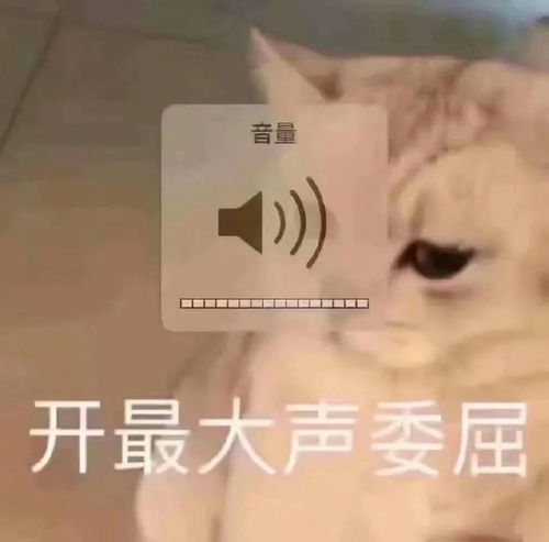  表情包丨可爱聊天表情包