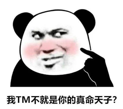  你这个迷人的小坏蛋