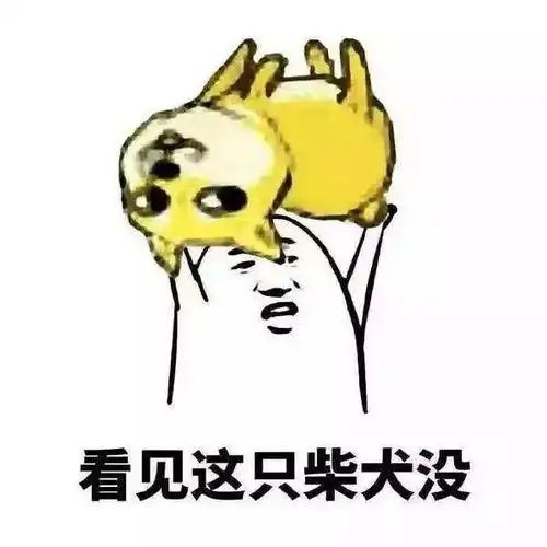 每年双11,其实我是很不开心的,并不是因为没钱,而是... 每年双11,其实我是很不开心的,并不是因为没钱,而是...