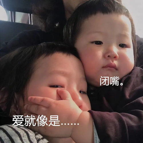  热门表情包表情包动图大全