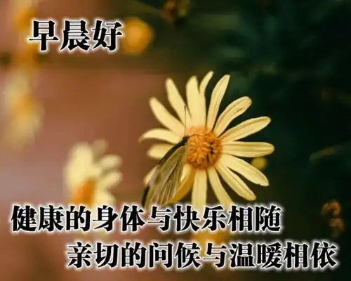  今日微信适合群发早上好图片加祝福语星期五早上好表情带问候语