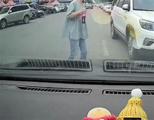 碰瓷人李某被碾压致死,家属索赔100万,法院判决终于下达 碰瓷人李某被碾压致死,家属索赔100万,法院判决终于下达