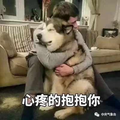  台风山神的情书