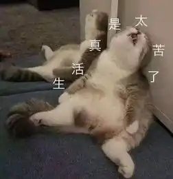  上完大学的我,终于成为了一名技工