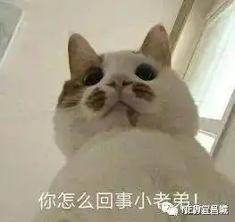 生活的表情包老弟