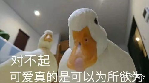  教师编制会终身制下去吗