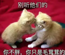 lol等输等等再输表情包