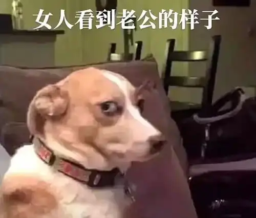 呼叫二狗表情包全套