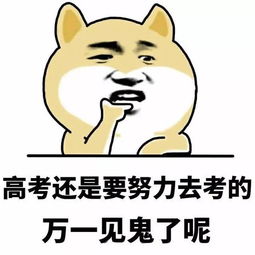  高考还是要努力考的,万一见鬼了呢....专用壁纸