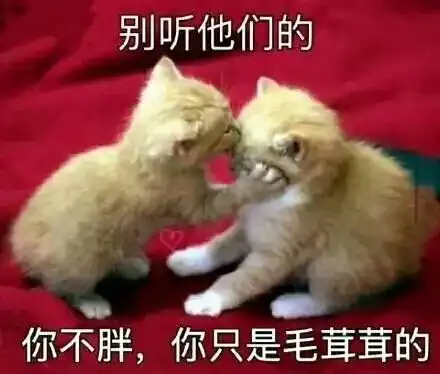  你要不要来看看2019大百度爸爸的春晚红包详细攻略