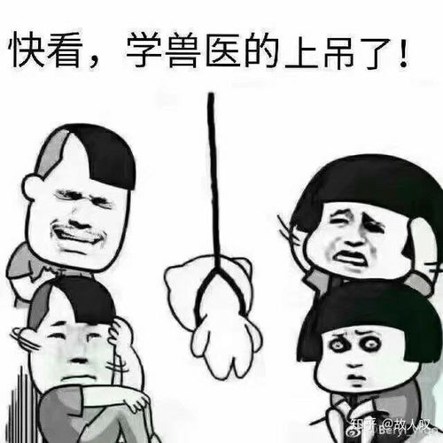  医学生与骨头的不解之缘