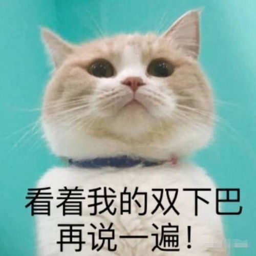 骂人表情包搞笑