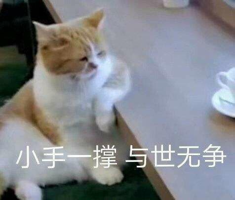  越看越上头的沙雕表情包