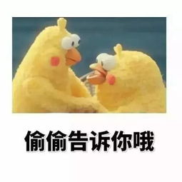  快来看,高速公路通行卡升级啦12月10日起,通行高速公路时使用的ic卡将被全面替换...