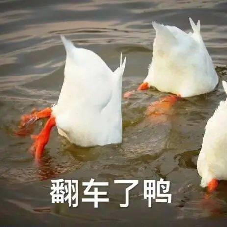  襄阳晚报的个人展示页