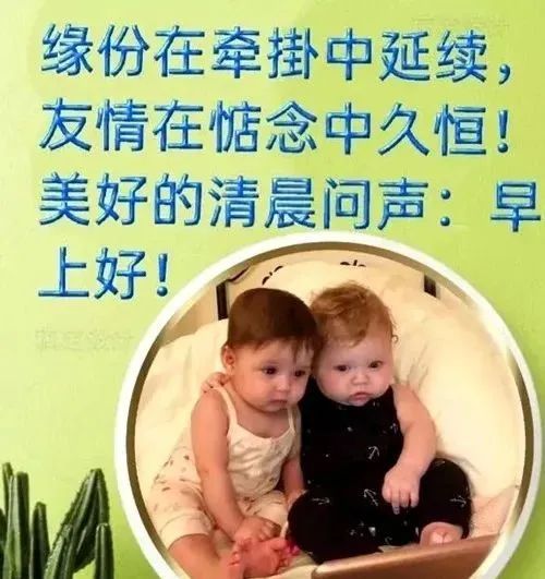  5张非常好看的文字早安问候表情包图片,简短问候语漂亮表情包带祝福语