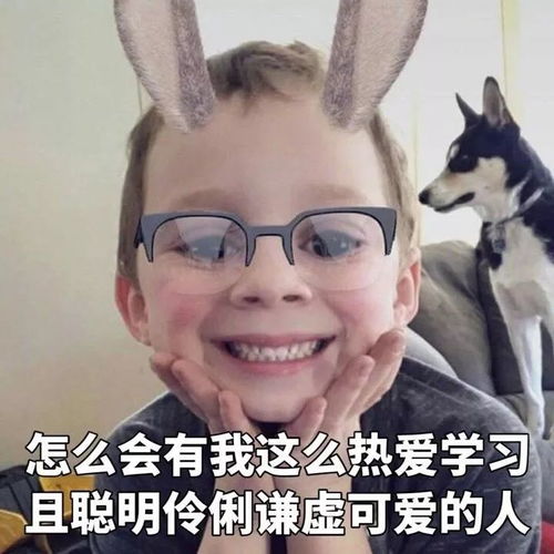 给台阶表情包头像