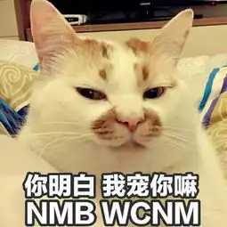  因为扔猫,她从90万粉知名女主播变成了虐猫犯