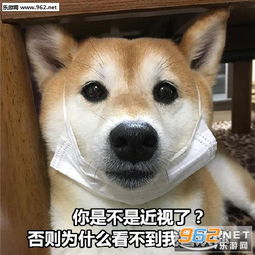  你是不是近视眼套路图片你是不是近视套路表情包下载乐游网游戏下载