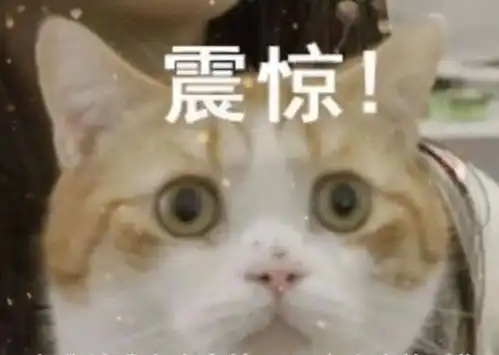  艺人发声,如果是维护版权意识,那么这些影视剧传播的价值观真的正确吗