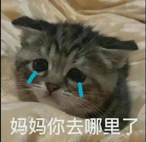 点开和爸妈的聊天记录,我发现...... 点开和爸妈的聊天记录,我发现......