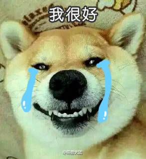  七夕单身狗