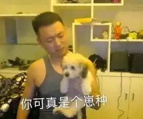  你可真是个崽种发表情fabiaoqing.com