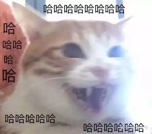  如何评价知乎年末活动红包派对
