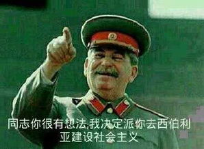  你内心深处最希望哪款游戏被重制