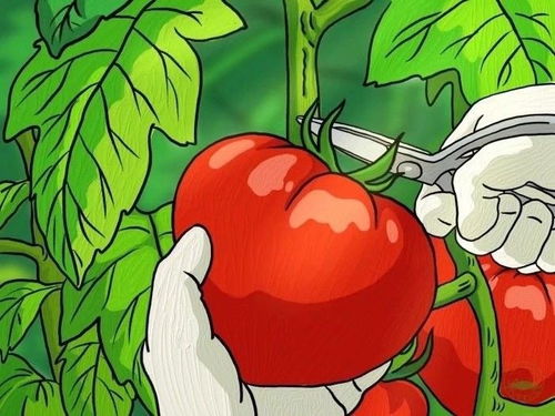  搞笑走心闺蜜文案秋天是一个超适合晒你的女孩的季节