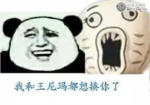  这两天最热的微博社会话题抄袭门事件