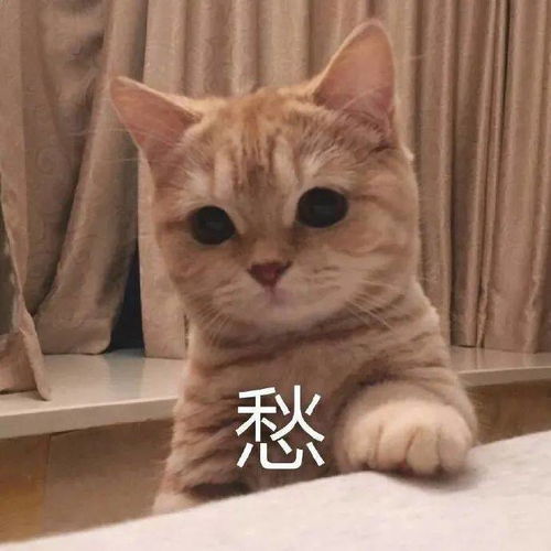 戴牙套的痛谁能懂实在是太难了
