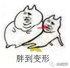  昨天宝安最低能见度23公里,怎么肥四
