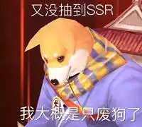  阴阳师自制表情包又没抽到ssr我大概是只废狗了