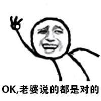 夸老婆表情包老婆你真是仙女
