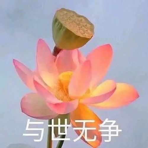  讲点真心话
