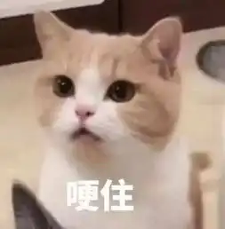 小孩子不要看表情包柠檬