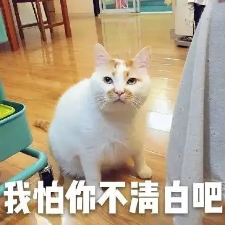  2018最新表情包大赏小猪佩奇,假笑boy,边缘试探你最爱