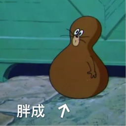  你有哪些让你一秒变开心的表情包