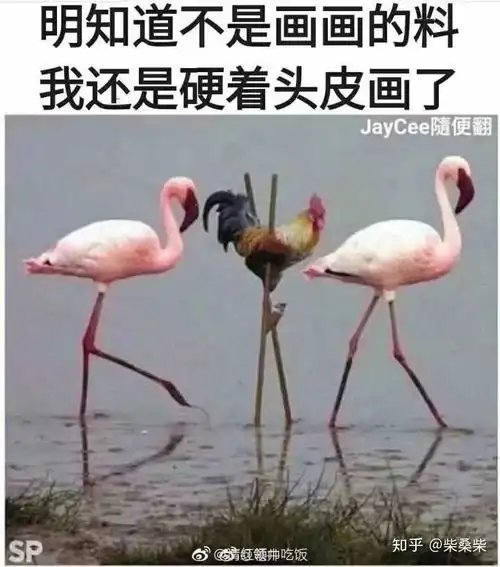  你有哪些让你一秒变开心的表情包