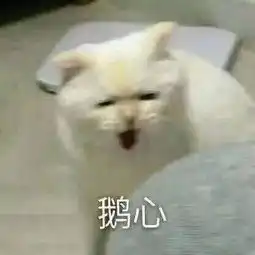 兔子吞脑袋表情包一套香