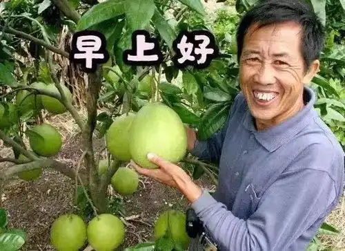 2021最新早上好图片带字表情包祝福,祝大家天天好运平安健康幸福  2021最新早上好图片带字表情包祝福,祝大家天天好运平安健康幸福