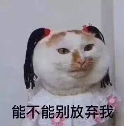 开学季这份入学小贴士你值得拥有