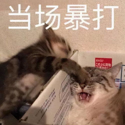  给年轻人添堵,年轻人让你吃土
