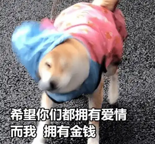  开心梧州这张承包你的吃喝玩乐购,周末去正好...
