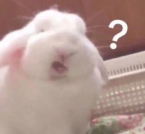  别说了,我不想听