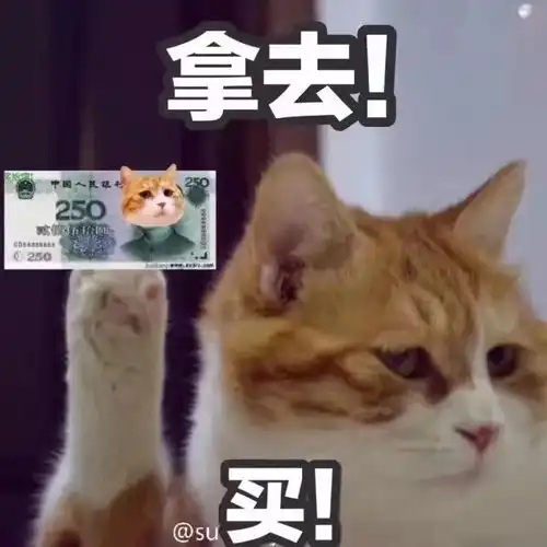  这个双十一我不光没钱买买买,我还被塞了一嘴狗粮