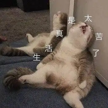  关于生活的表情包合集受够了生活的苦