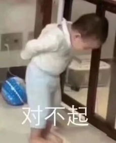搞笑道歉表情道歉