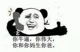 熊猫修仙表情包等级嘚瑟